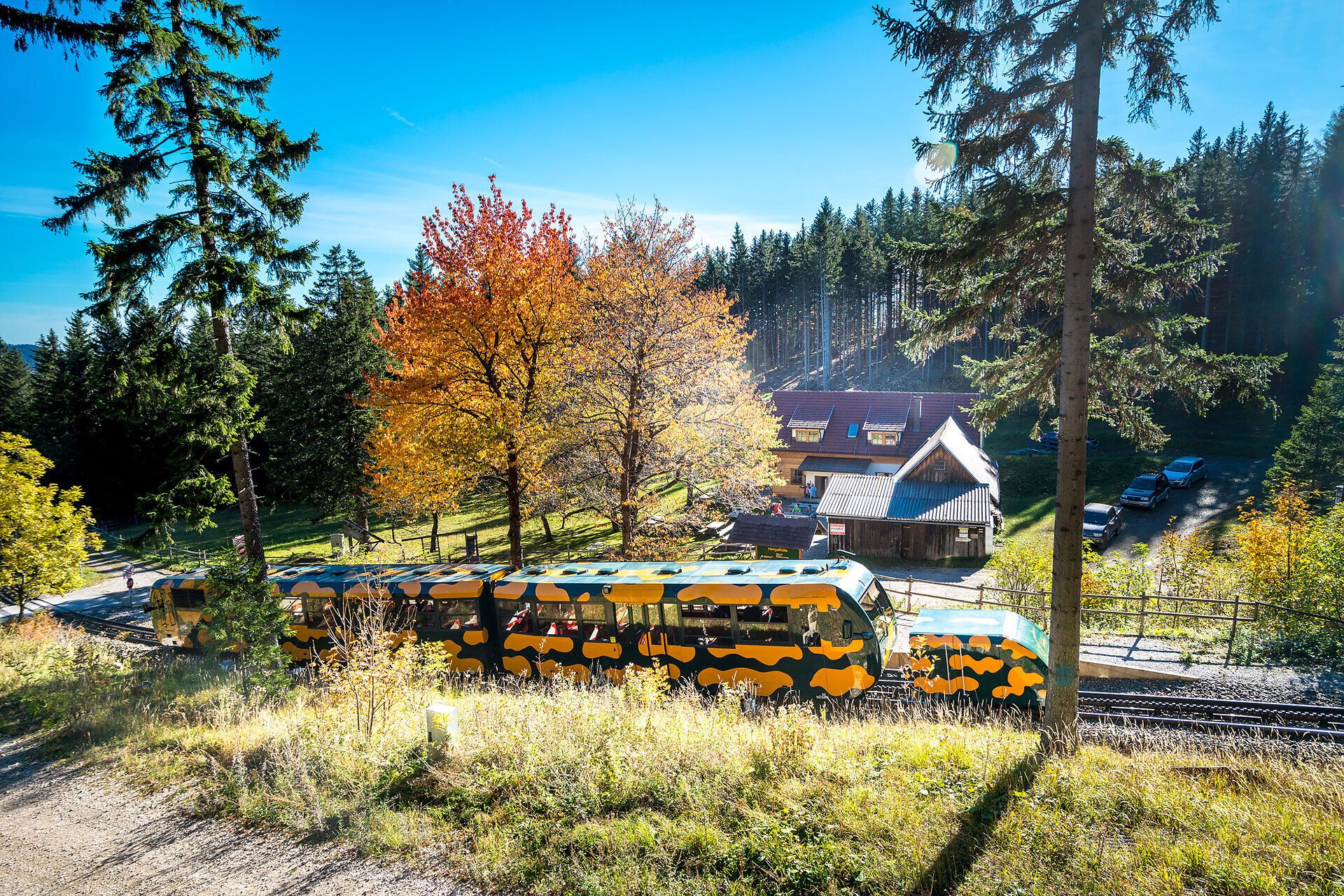 Salamander-Zug der Schneebergbahn fährt an der Haltestelle Baumgartner vorbei, umgeben von herbstlich gefärbten Bäumen und Wald.
