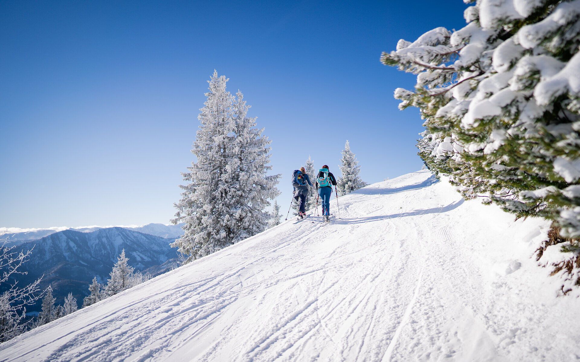 Die schneebedeckten Hänge der Gemeindealpe laden zu unvergesslichen Winterabenteuern ein. Glitzernder Schnee und strahlend blauer Himmel schaffen eine malerische Kulisse für Skifahrer, die die frische Bergluft genießen. Hier wird der Winter zum Erlebnis für die ganze Familie.