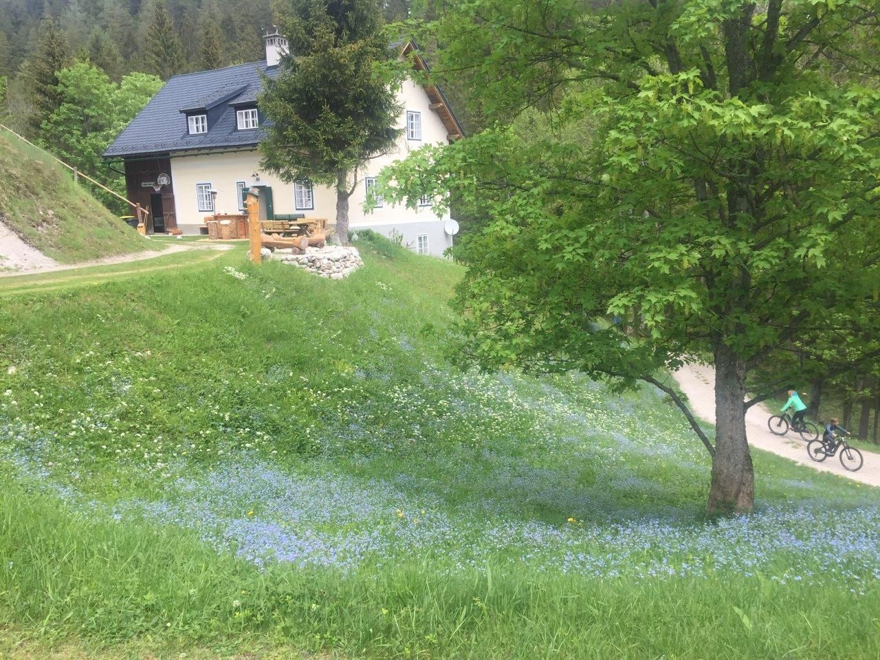 Ferienhaus Maria