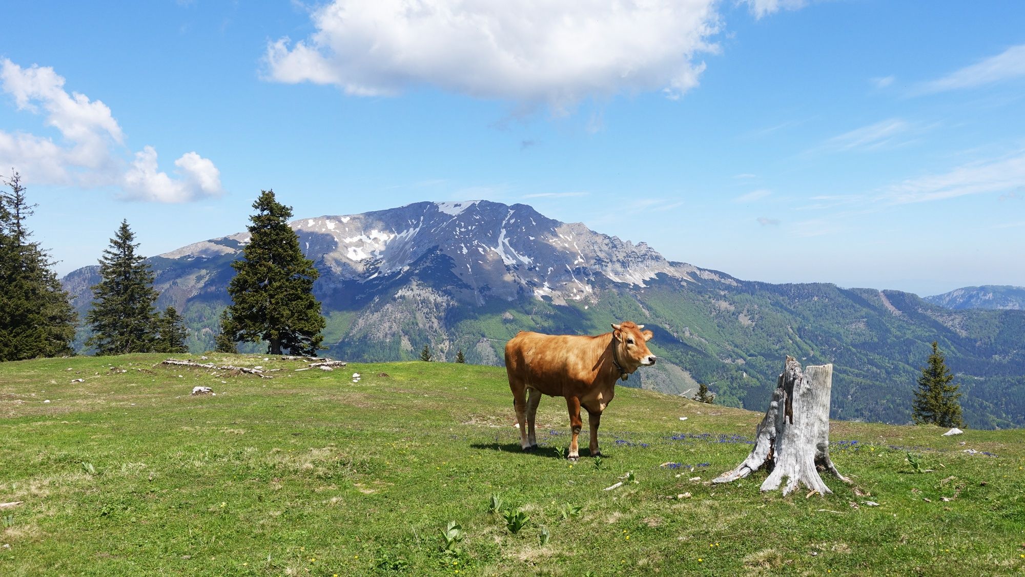 Vom Erlaufsee über die Brach auf die Gemeindealpe
