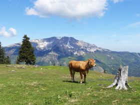 From Lake Erlaufsee via the Brach to the Gemeindealpe, &copy; Mostviertel Tourismus/Sonja Stadlbauer