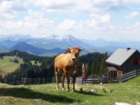 From Lake Erlaufsee via the Brach to the Gemeindealpe, &copy; Mostviertel Tourismus/Sonja Stadlbauer