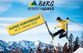 Skifahrer mit Bergpanorama im Hintergrund