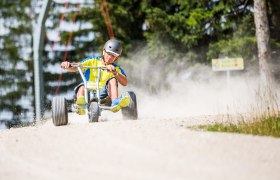 Mann auf Mountaincart auf der Gemeindealpe Mitterbach