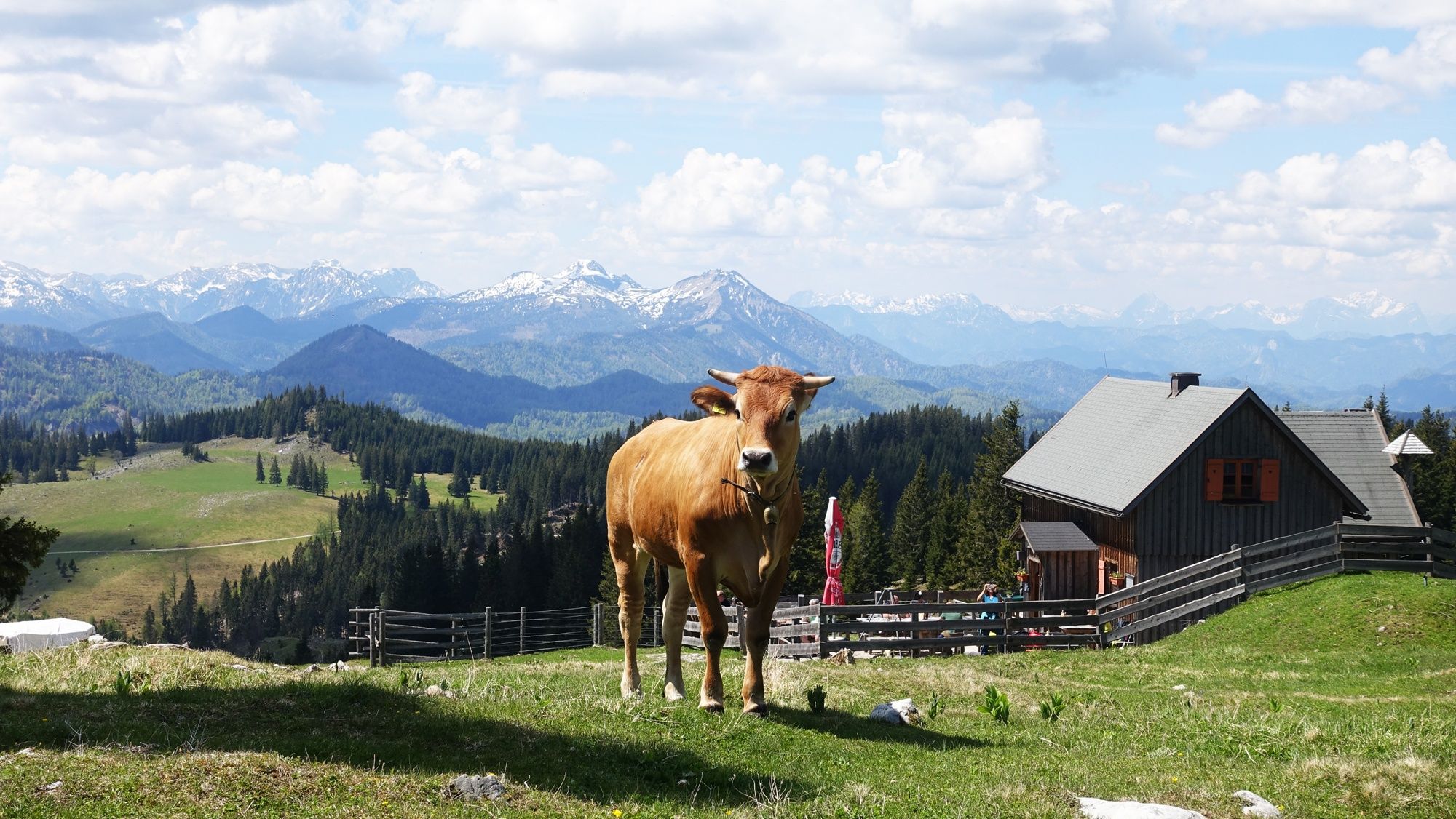 Vom Erlaufsee über die Brach auf die Gemeindealpe