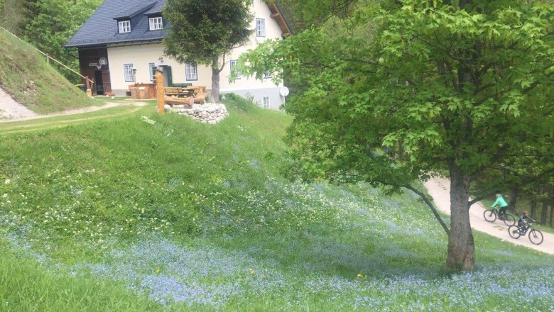 Ferienhaus Maria, &copy; Familie Bock